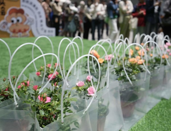 正规股票杠杆平台 把春天带回家！第一八佰伴“莫奈花园”撤展，布展花卉免费送给市民